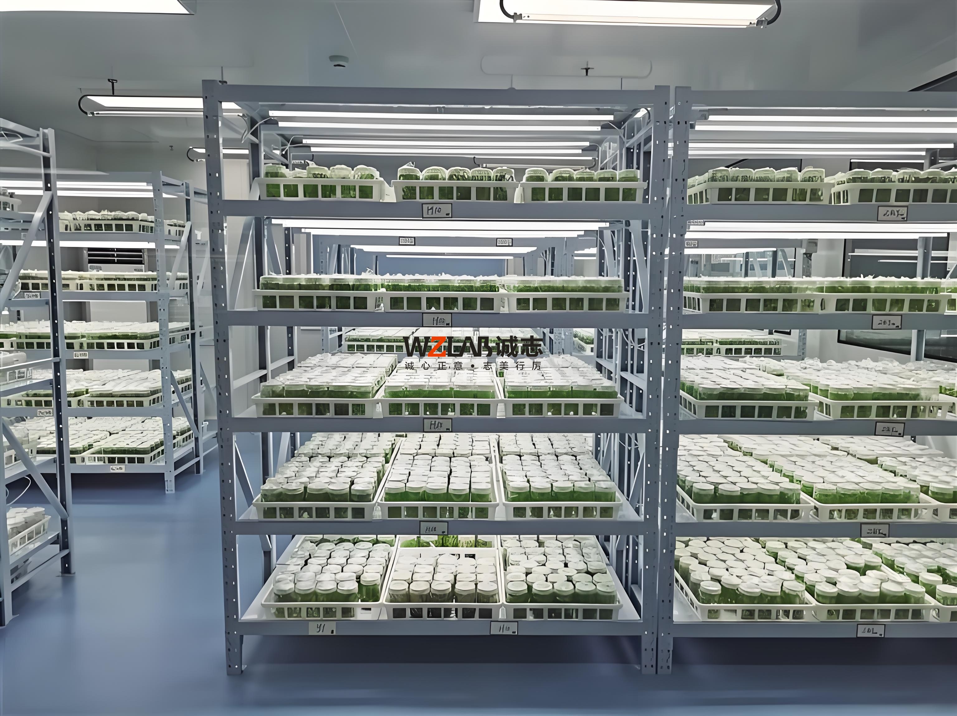 組培室 氣候室建設(shè)方案