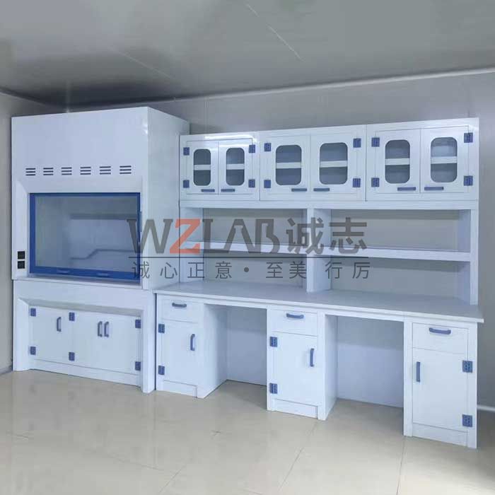 實驗室pp通風柜