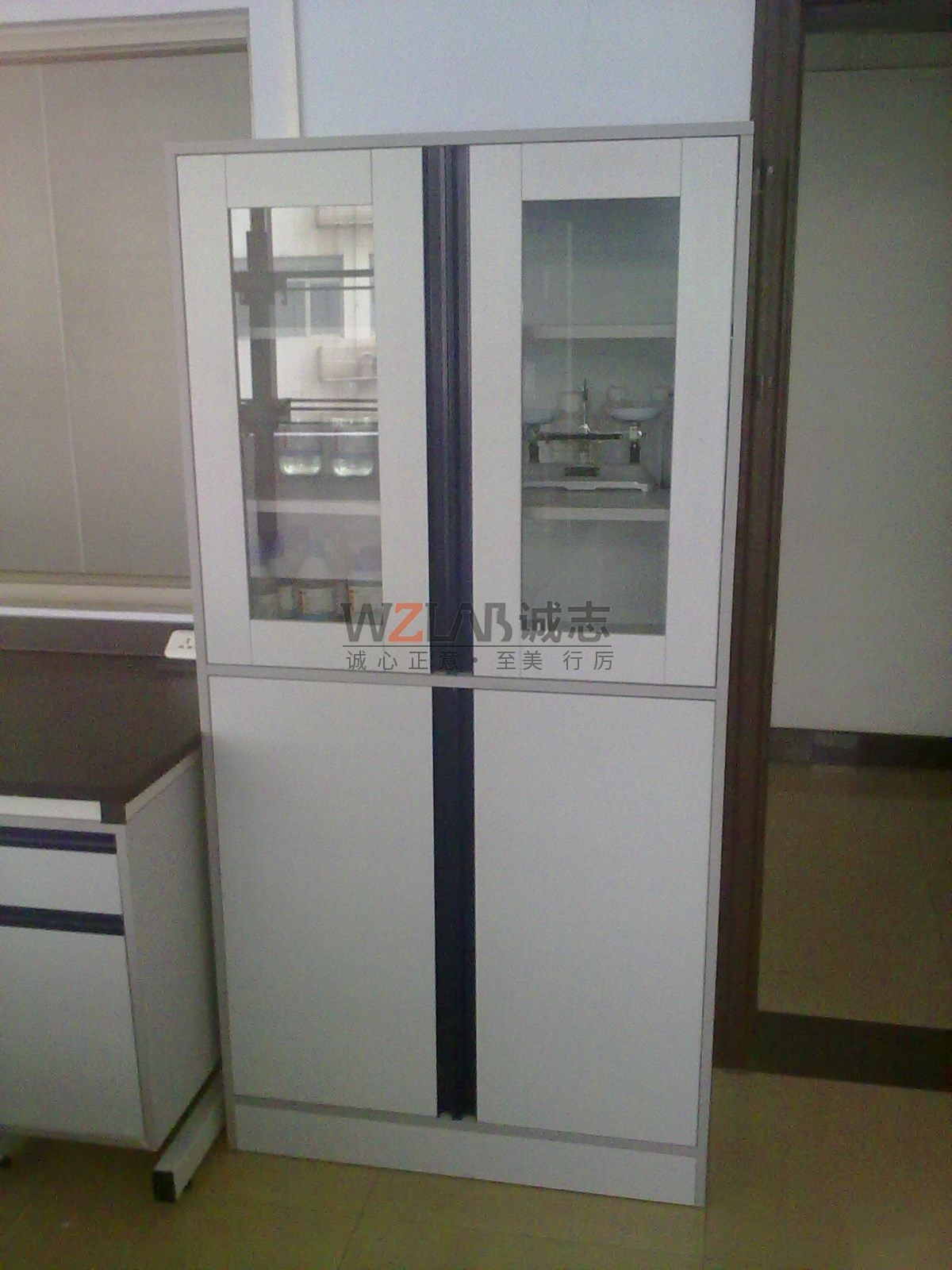 藍森環保公司藥品柜項目