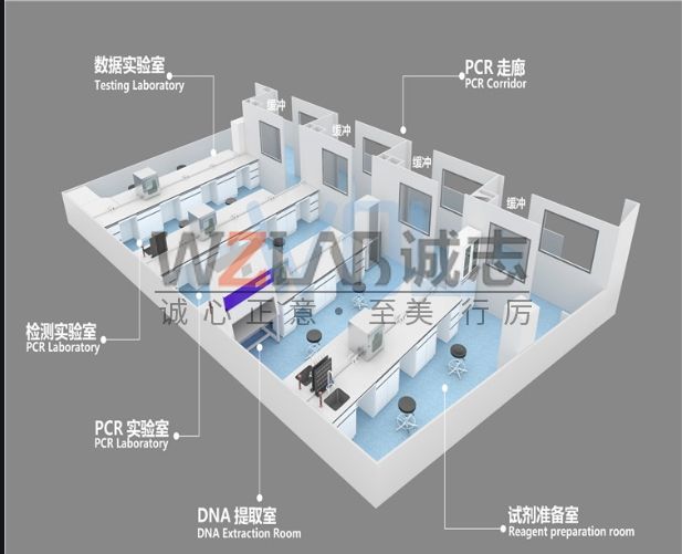PCR實(shí)驗(yàn)室設(shè)計(jì)的7大注意事項(xiàng)