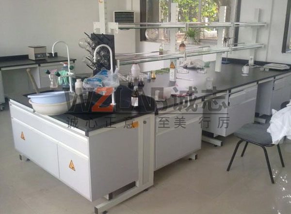 定制全套實驗室家具有什么優勢?(圖1) 全鋼實驗臺1.jpg