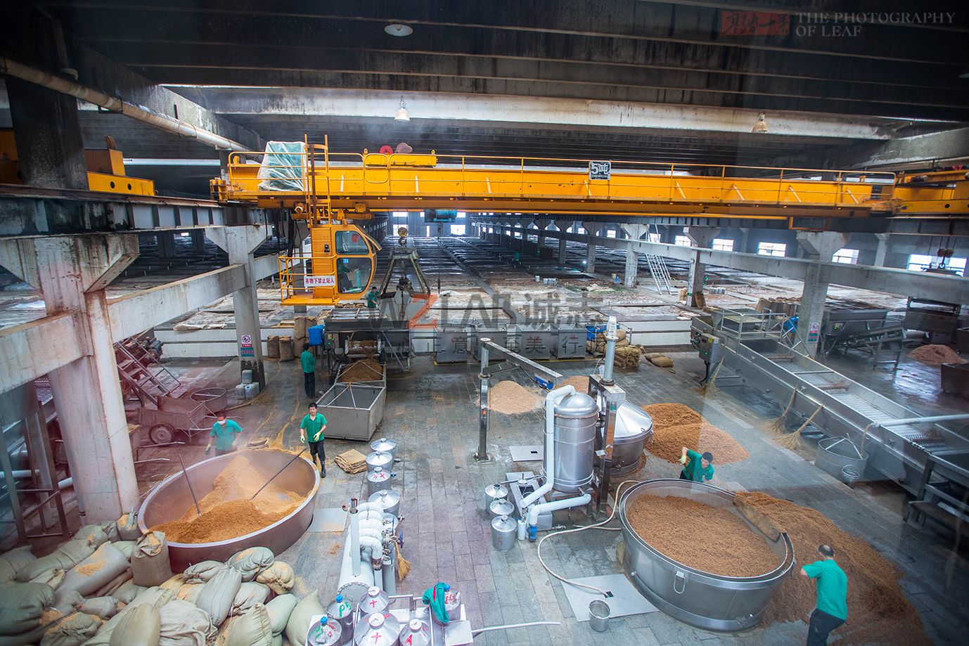 釀酒實驗室的設計思路